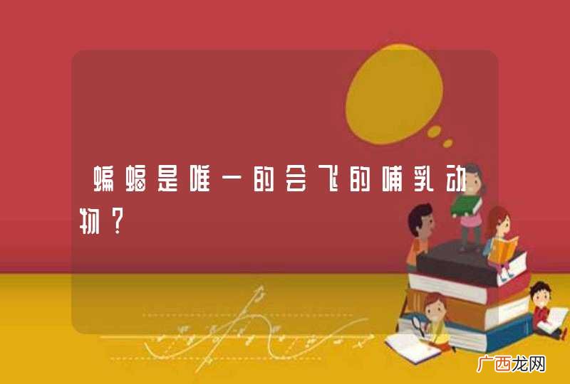 蝙蝠是唯一的会飞的哺乳动物？