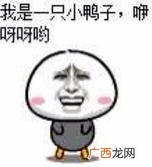二半吊子是什么意思？二半吊子和半吊子区别 二半吊子=二百五
