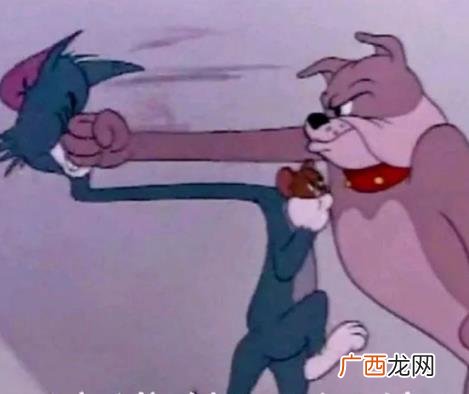 抖音笋都被你夺完了啥梗什么意思 调侃某人行为是真的很损