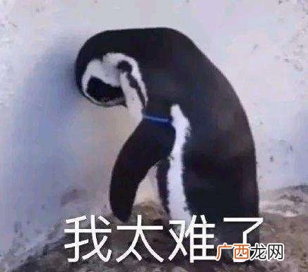我太难/南了是什么意思什么梗？我太难/南了入选2019年十大流行语