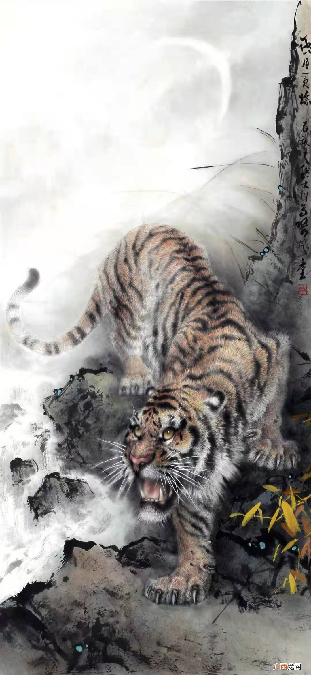 老虎还被叫做什么的由来 虎的别称及美名有哪些