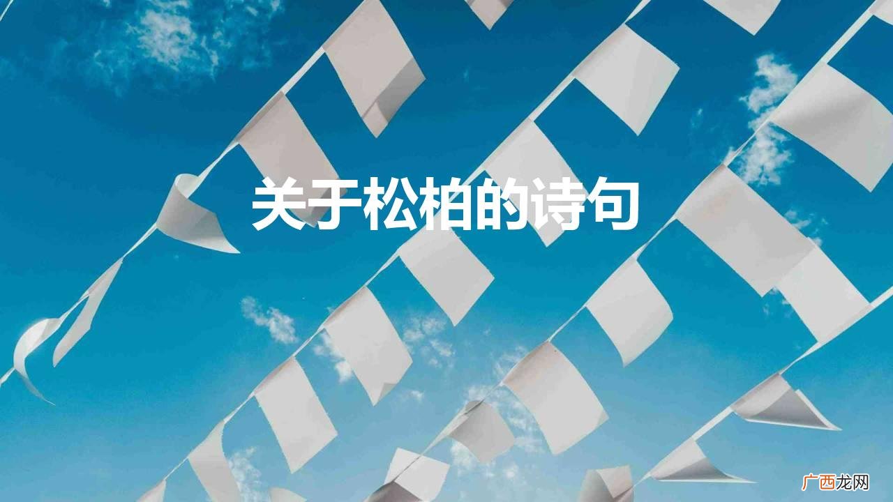 十一首寒松的诗词傲雪凌霜松精神 关于松柏的诗句