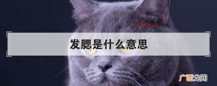 发腮是什么意思
