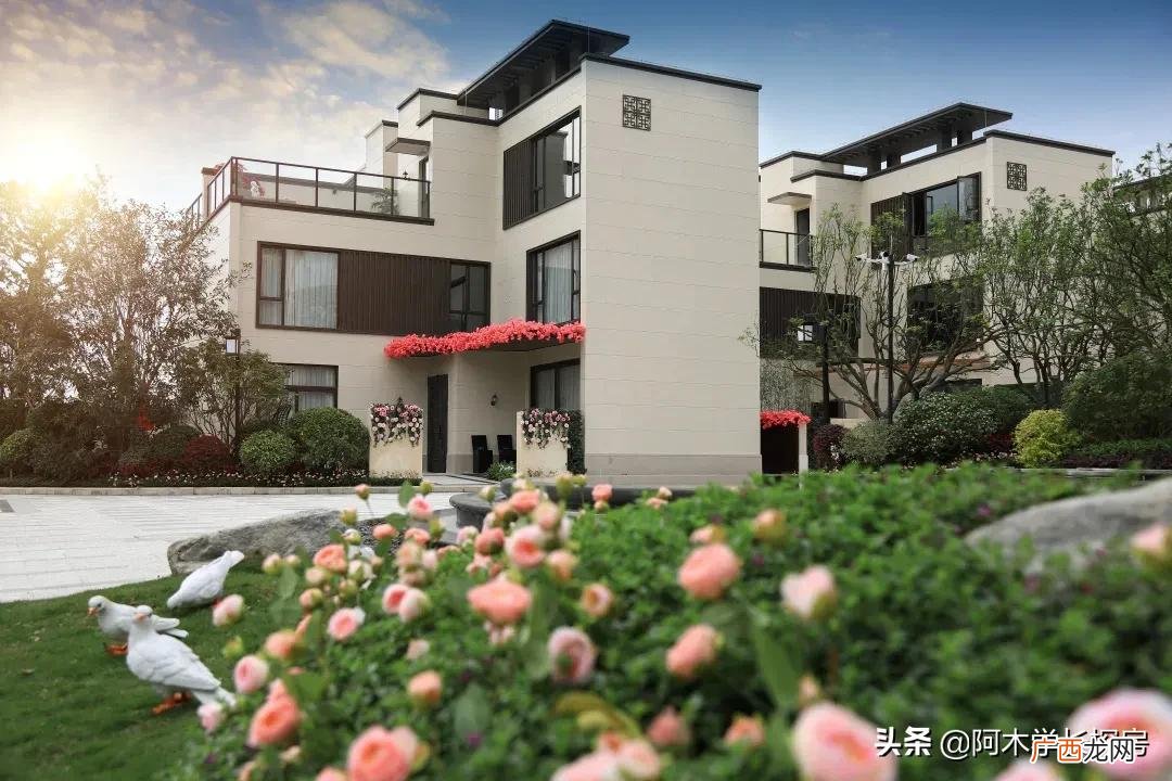 怎么选择叠墅和联排别墅哪个更好 叠墅和别墅的区别