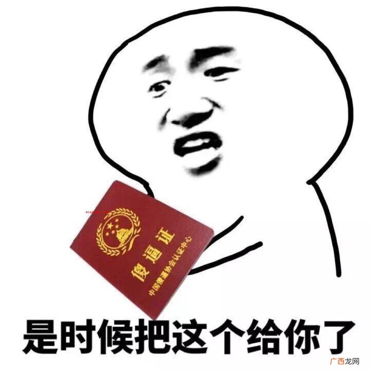 瓜皮是什么意思？