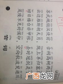 押韵是什么意思,什么是押韵的字?