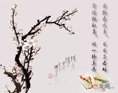 老公说梅花三弄什么意思,梅花三弄是啥意思？