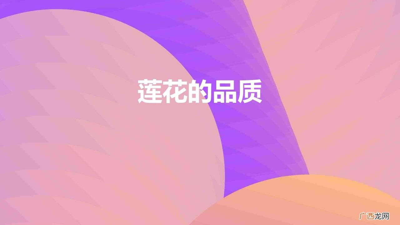 愿心如莲花清净无染 莲花的品质