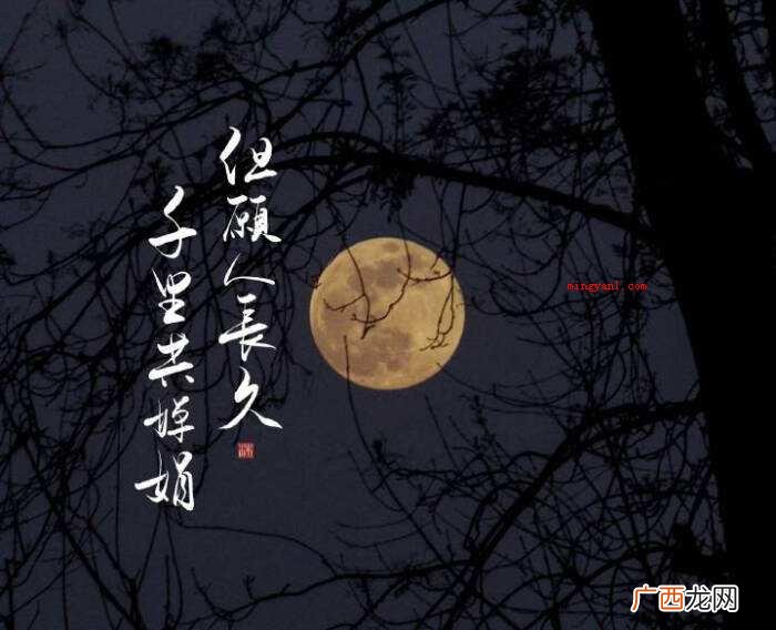 千里共婵娟的婵娟是什么意思