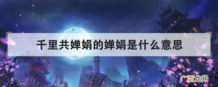 千里共婵娟的婵娟是什么意思