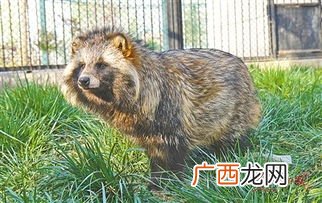 一丘之貉的意思是什么意思,一丘之貉的哲理？