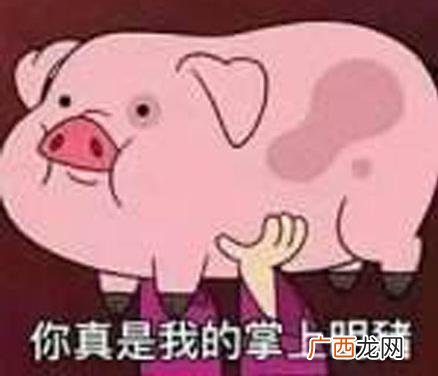 猪猪女孩是什么意思什么梗？什么是精致的猪猪女孩