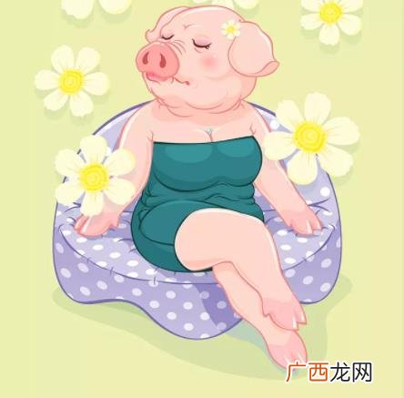 猪猪女孩是什么意思什么梗？什么是精致的猪猪女孩