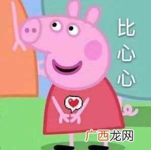 抖音社会人是什么梗？如何假装一个抖音社会人？小猪佩奇为什么会火