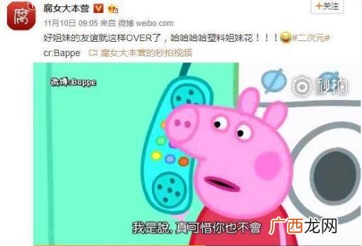 抖音社会人是什么梗？如何假装一个抖音社会人？小猪佩奇为什么会火