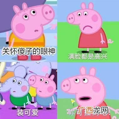 抖音社会人是什么梗？如何假装一个抖音社会人？小猪佩奇为什么会火