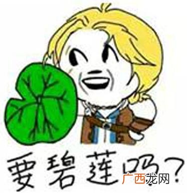 不要碧莲是什么意思？韩寒和王思聪均用不要碧莲怼人 芳草天不要碧连