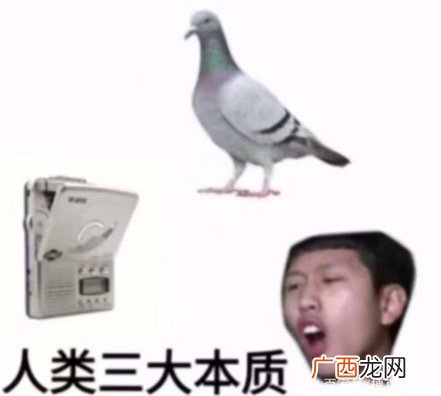 人类三大本质是什么意思什么梗 人类三大本质的含义及出处