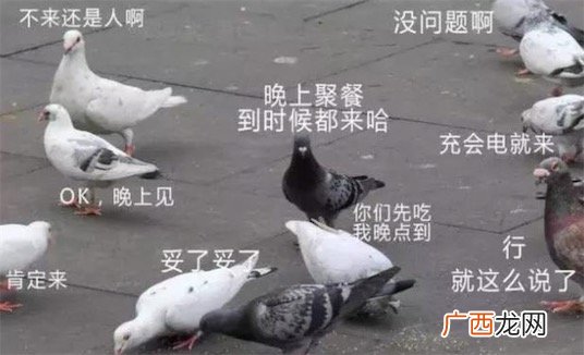 人类三大本质是什么意思什么梗 人类三大本质的含义及出处