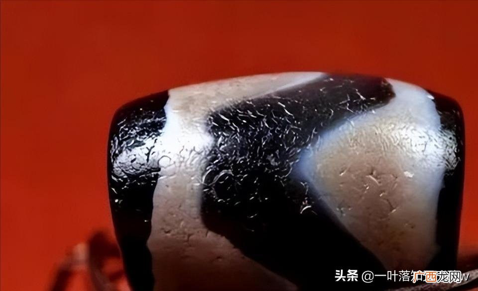 台湾天珠的生存模式是怎样的 台湾天珠有收藏价值吗
