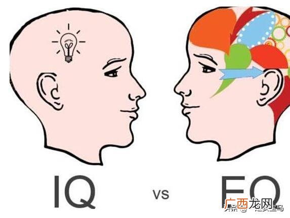 iq是什么意思,IQ，EQ，AQ分别是什么意思啊？