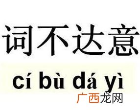 词不达意是什么意思,词不达意言不由衷什么意思?