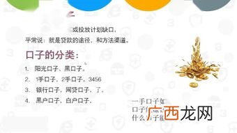 外围是什么意思,足球中的外围赛什么意思？