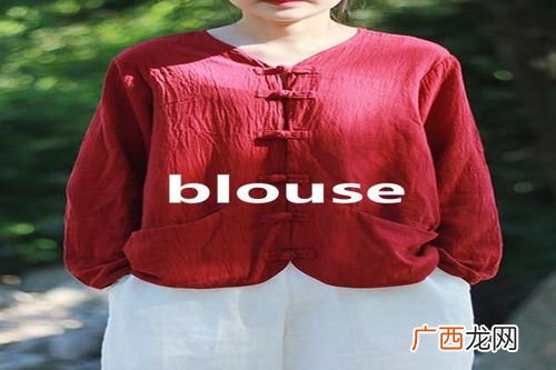 blouse是什么意思,blouse的复数的翻译是:什么意思？