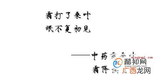 教你怎么起网名或笔名