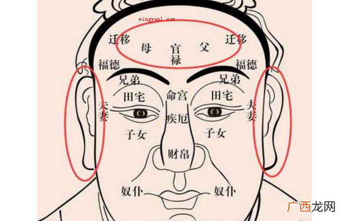 如何看面相