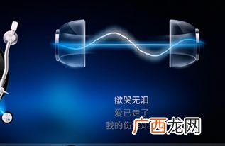 music是什么意思,music用an还是a还是the？