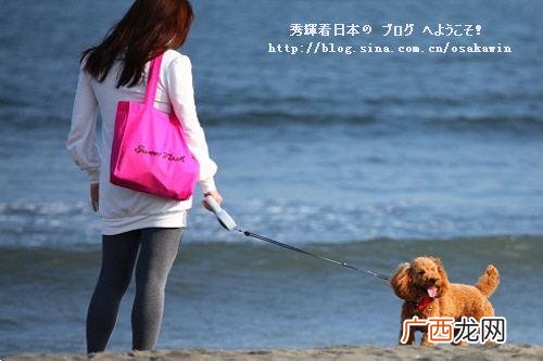 败犬女一族是什么意思?败犬女一族特征 成为败犬的原因