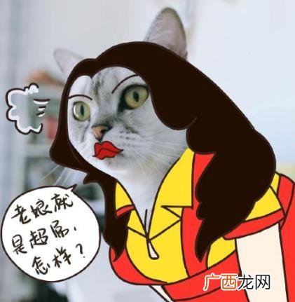 “鞭”长莫及是什么意思？鞭长莫及是什么梗？有什么内涵