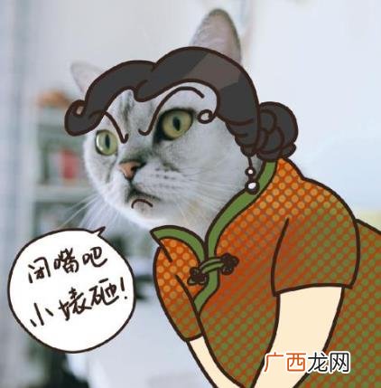 “鞭”长莫及是什么意思？鞭长莫及是什么梗？有什么内涵