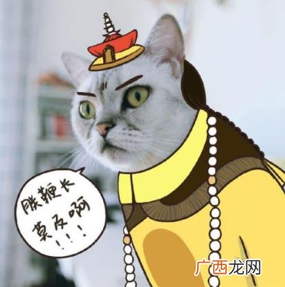 “鞭”长莫及是什么意思？鞭长莫及是什么梗？有什么内涵