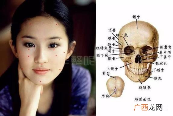 大饼脸是什么意思?一个人脸大的原因 大饼脸的瘦脸方法