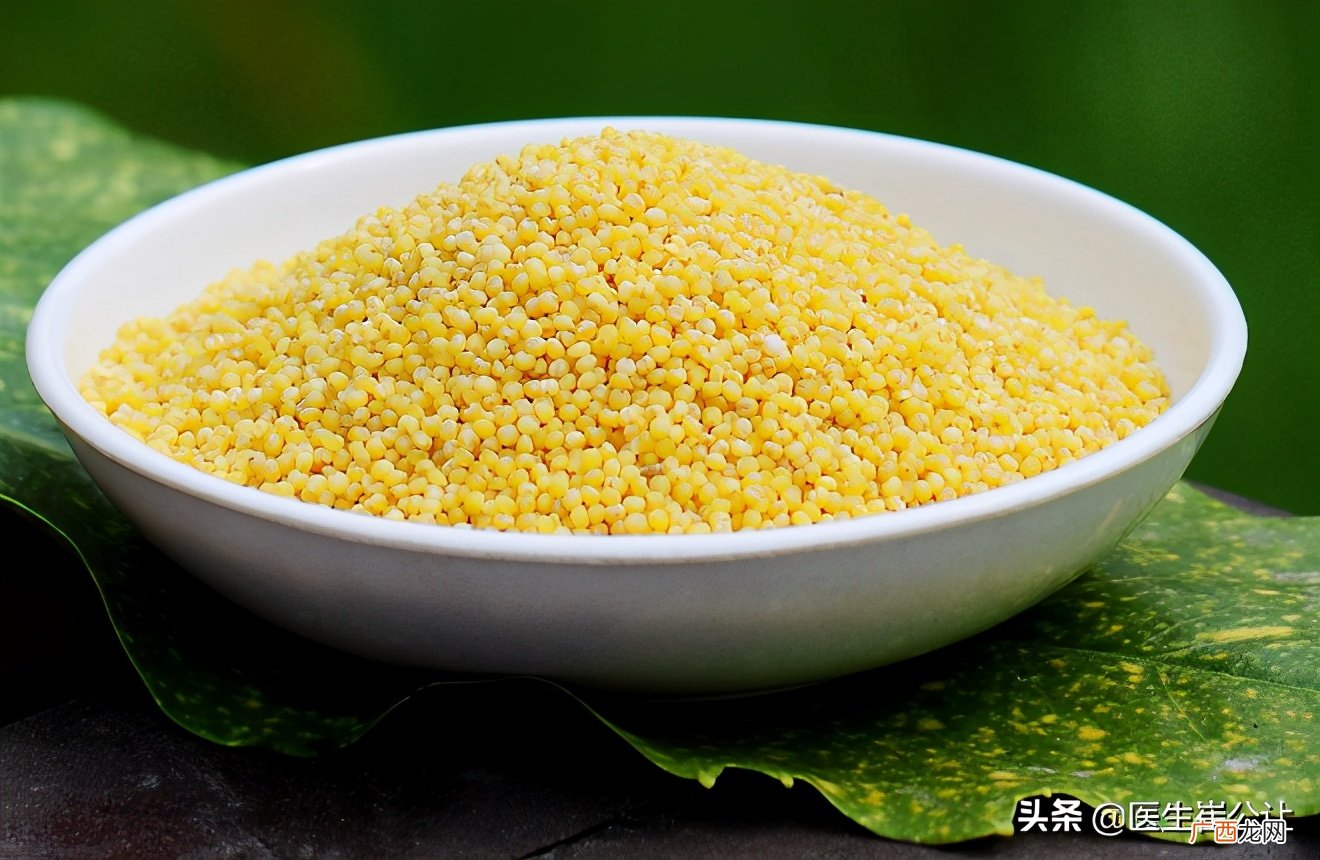 古代五谷之一的粟有什么功效与作用 粟是什么农作物