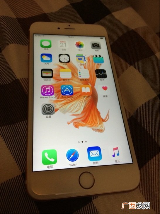 PLUS是什么意思,plus究竟有什么梗？
