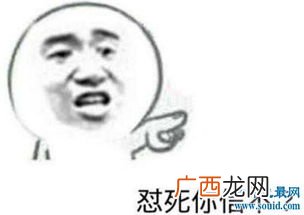 怼是什么意思,“怼”这个字怎么念，什么意思？