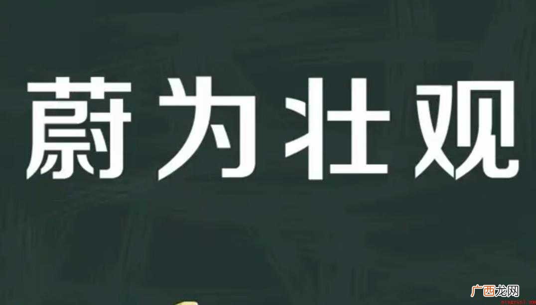 蔚为壮观的意思是什么