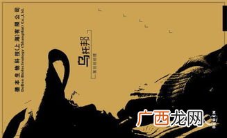 乌托邦女孩是什么意思,有关Lolita的故事？