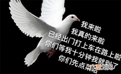 咕咕咕是什么意思什么梗 咕咕咕的含义及出处