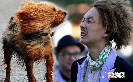 凌乱是什么意思？网络用语我凌乱了是什么意思 风中凌乱表情
