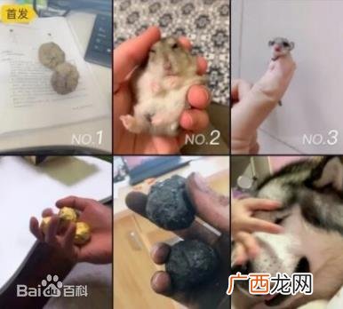 盘它是什么意思什么梗 甭管是啥盘它就对了 2019年首个网络流行语