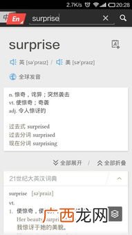 surprise是什么意思,“surprise”翻译成中文什么意思？