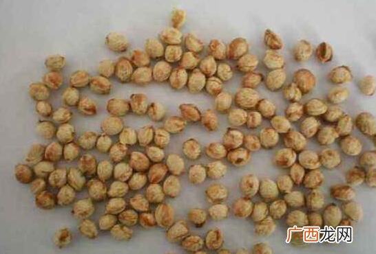 樱桃籽的种植方法 樱桃种子怎么种植