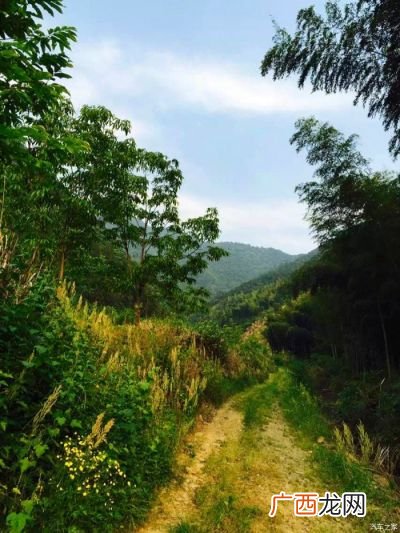 久居樊笼里复得返自然的意思,一个人出去旅游到底有多孤独？