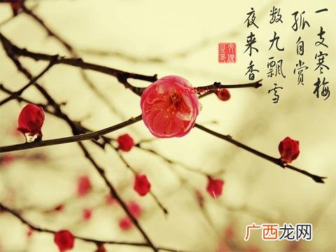 五九是什么日子？