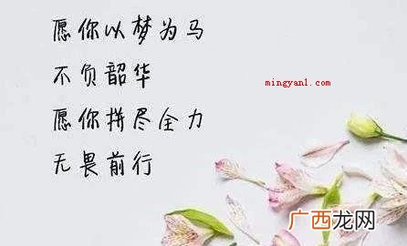 以梦为马不负韶华什么意思