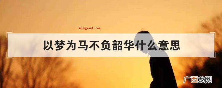 以梦为马不负韶华什么意思